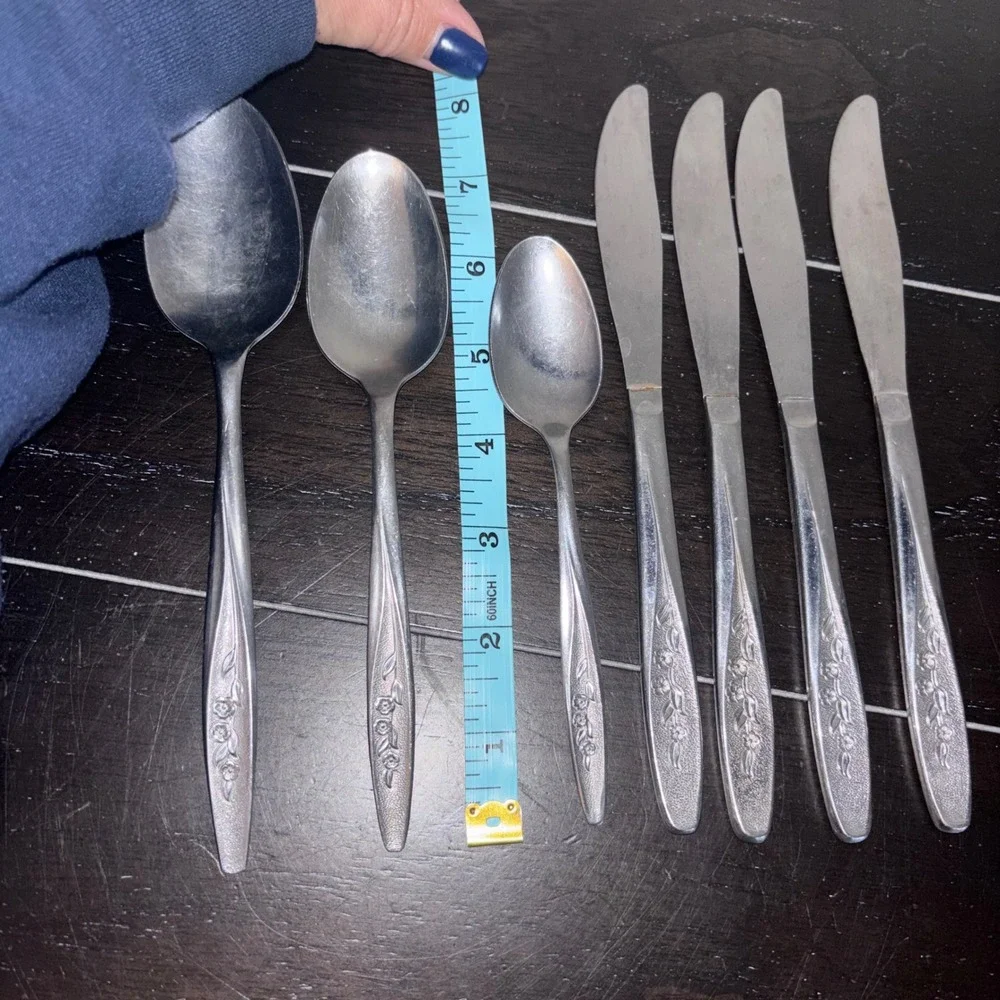 Superior Stainless USA | RADIANT ROSE Set | 4 Spoons, 2‎ tsp, 6 Knives, 1 Fork
